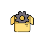 IT Project Manager