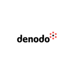 Denodo Developer